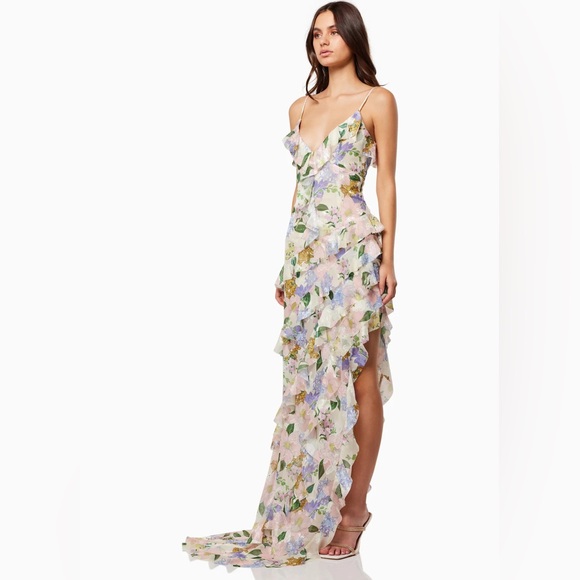 NWT Elliatt Long Ruffle Maxi Dress. - Picture 2 of 11